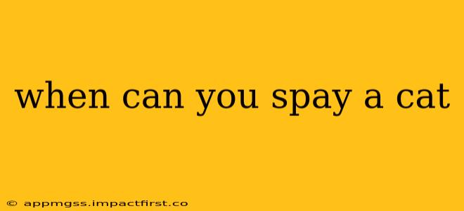 when can you spay a cat
