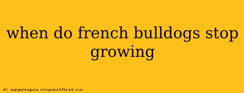 when do french bulldogs stop growing