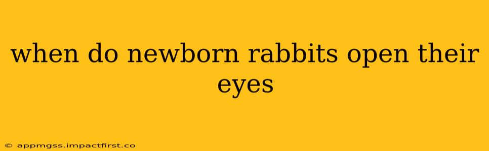 when do newborn rabbits open their eyes