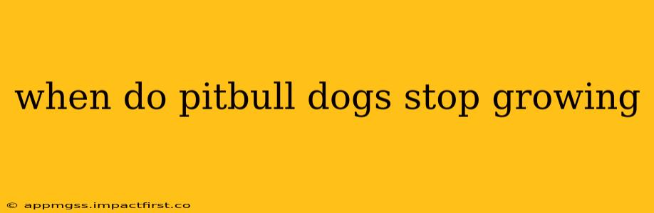 when do pitbull dogs stop growing