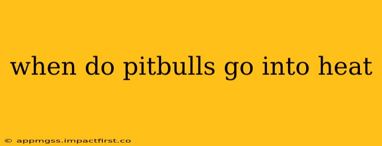 when do pitbulls go into heat