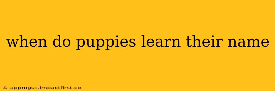 when do puppies learn their name