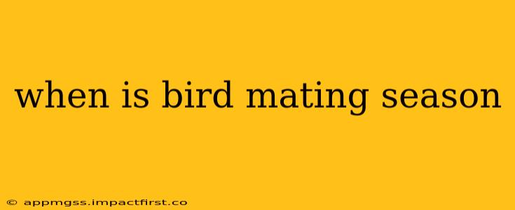 when is bird mating season