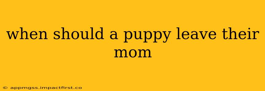 when should a puppy leave their mom