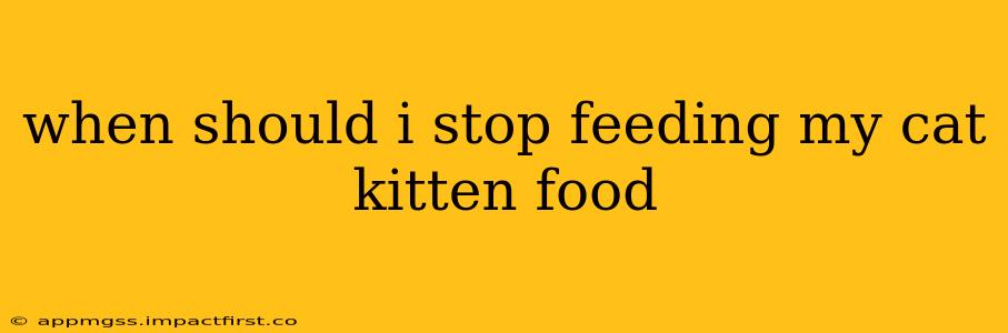 when should i stop feeding my cat kitten food