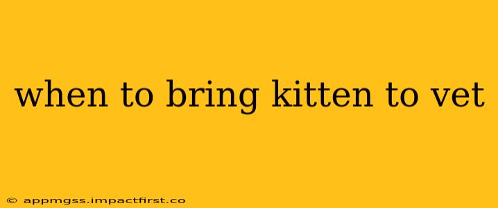 when to bring kitten to vet