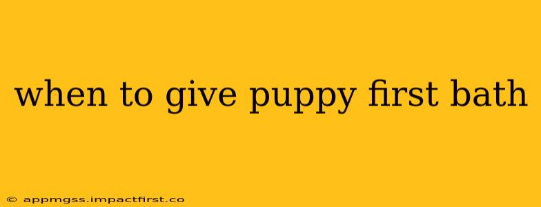 when to give puppy first bath