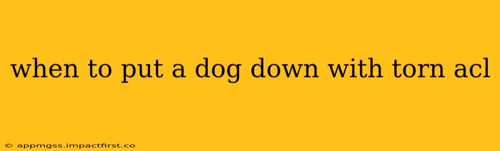 when to put a dog down with torn acl
