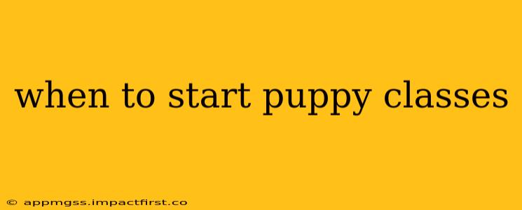 when to start puppy classes