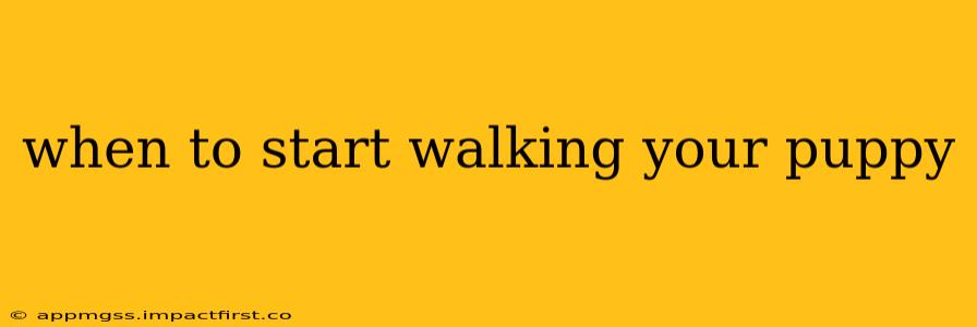 when to start walking your puppy
