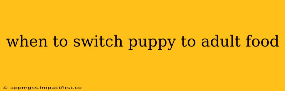 when to switch puppy to adult food