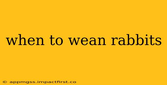when to wean rabbits