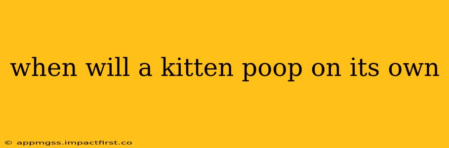 when will a kitten poop on its own