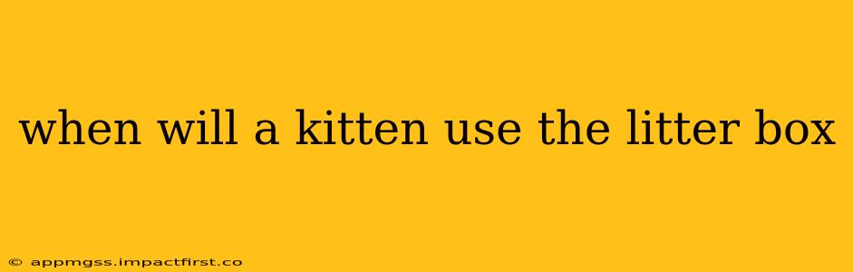 when will a kitten use the litter box