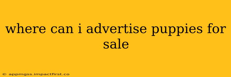 where can i advertise puppies for sale