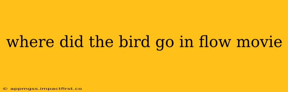 where did the bird go in flow movie