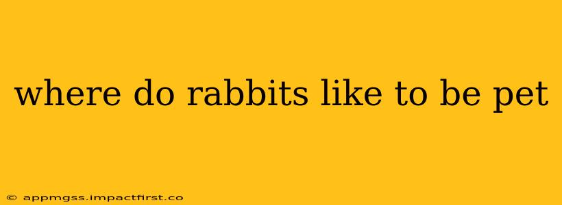 where do rabbits like to be pet