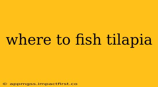 where to fish tilapia