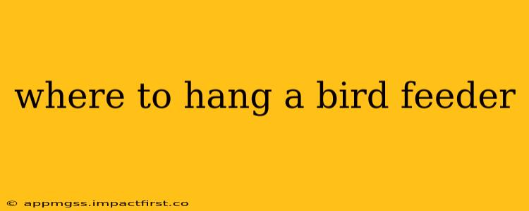 where to hang a bird feeder