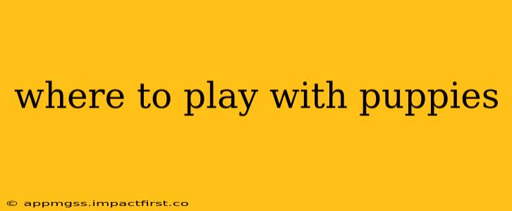 where to play with puppies