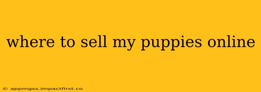 where to sell my puppies online