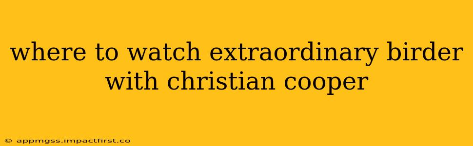 where to watch extraordinary birder with christian cooper