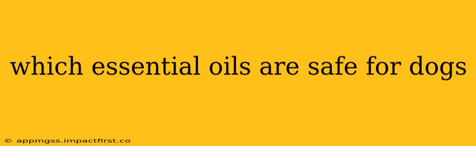which essential oils are safe for dogs