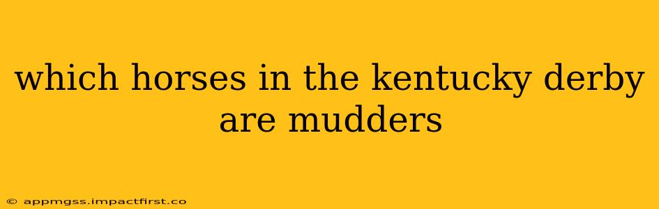 which horses in the kentucky derby are mudders