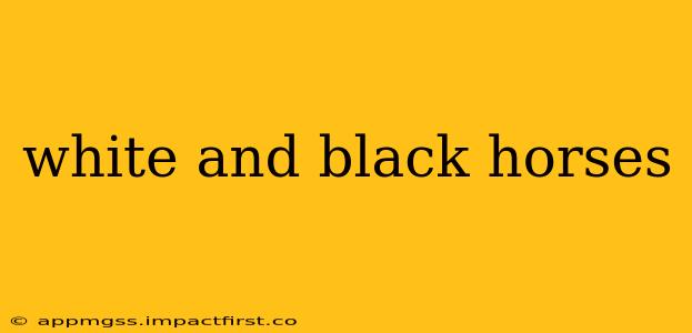 white and black horses