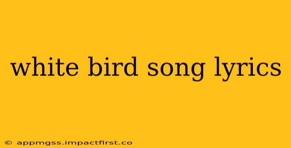 white bird song lyrics