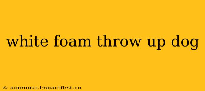 white foam throw up dog