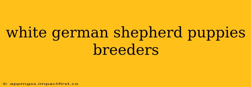 white german shepherd puppies breeders