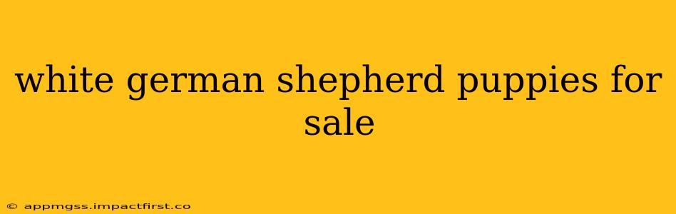 white german shepherd puppies for sale