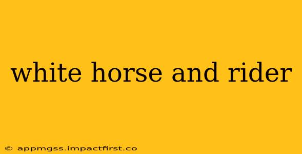 white horse and rider