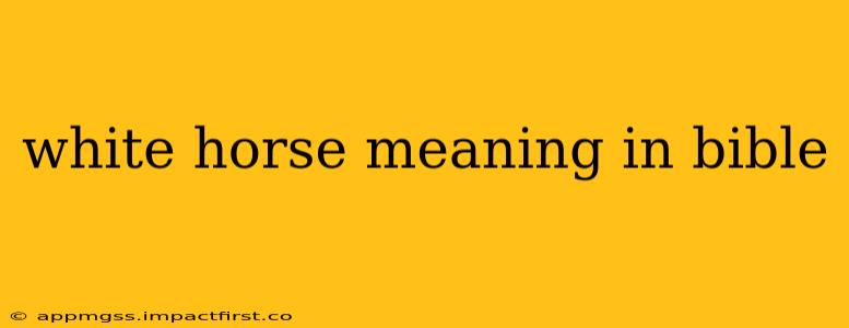 white horse meaning in bible