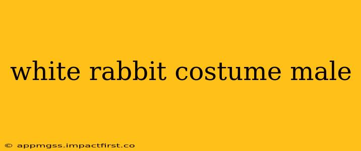 white rabbit costume male