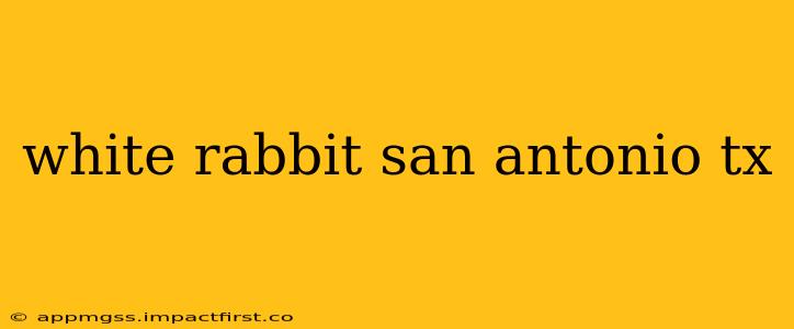 white rabbit san antonio tx