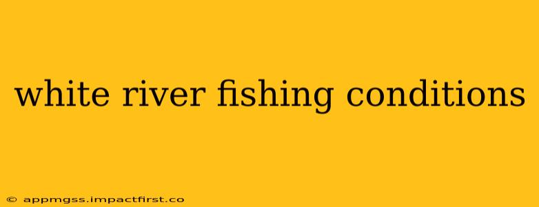 white river fishing conditions