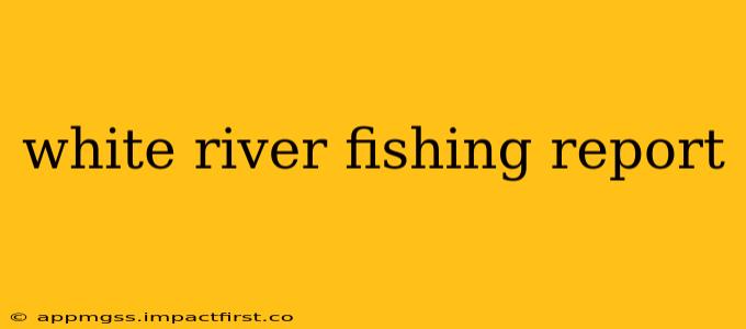 white river fishing report