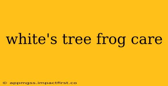 white's tree frog care