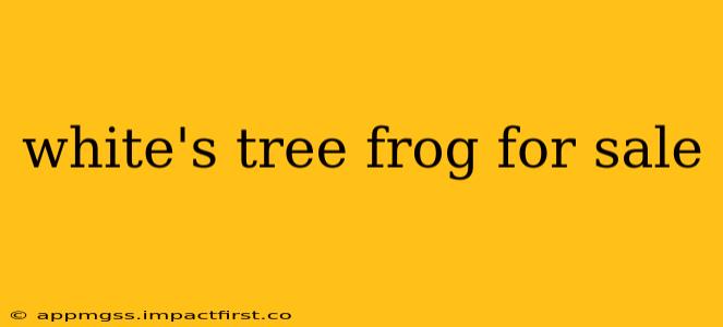 white's tree frog for sale