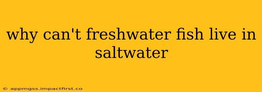 why can't freshwater fish live in saltwater