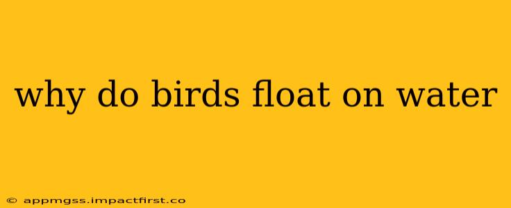 why do birds float on water