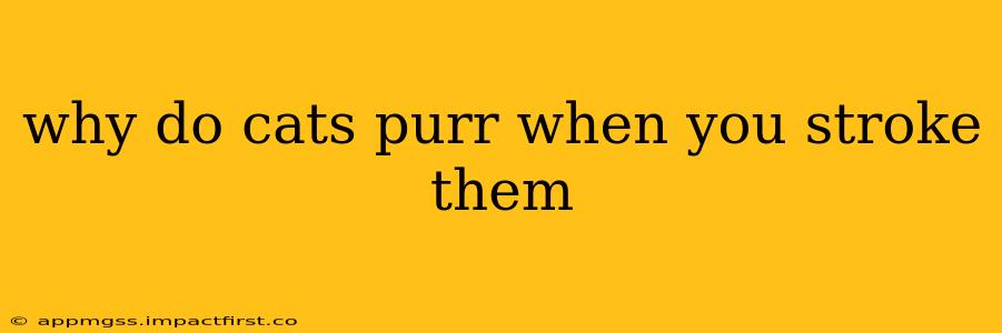 why do cats purr when you stroke them