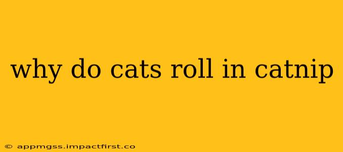 why do cats roll in catnip