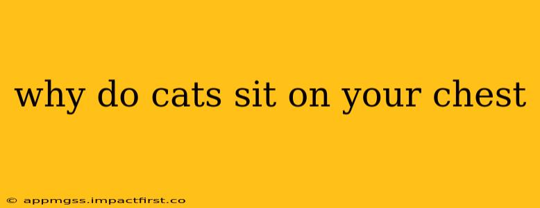 why do cats sit on your chest