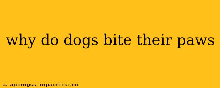 why do dogs bite their paws