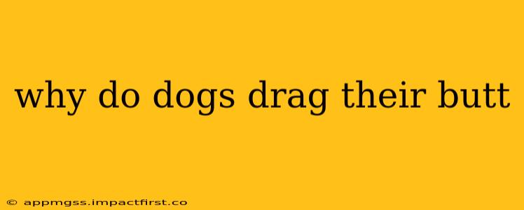 why do dogs drag their butt