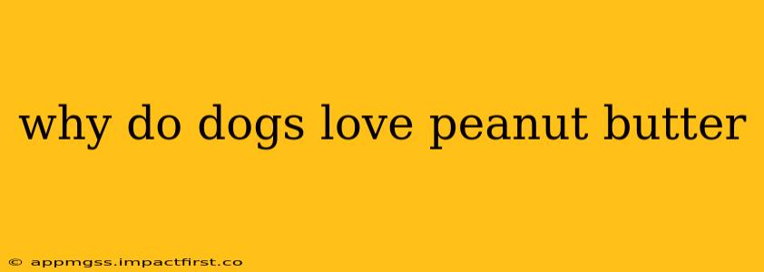 why do dogs love peanut butter