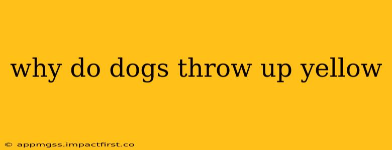 why do dogs throw up yellow